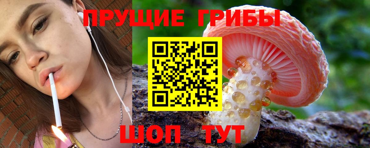 Галлюциногенные грибы GOLDEN TEACHER  Вход с VPN  Подольск 