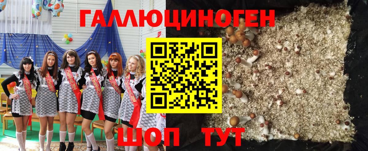 Галлюциногенные грибы прущие грибы Подольск